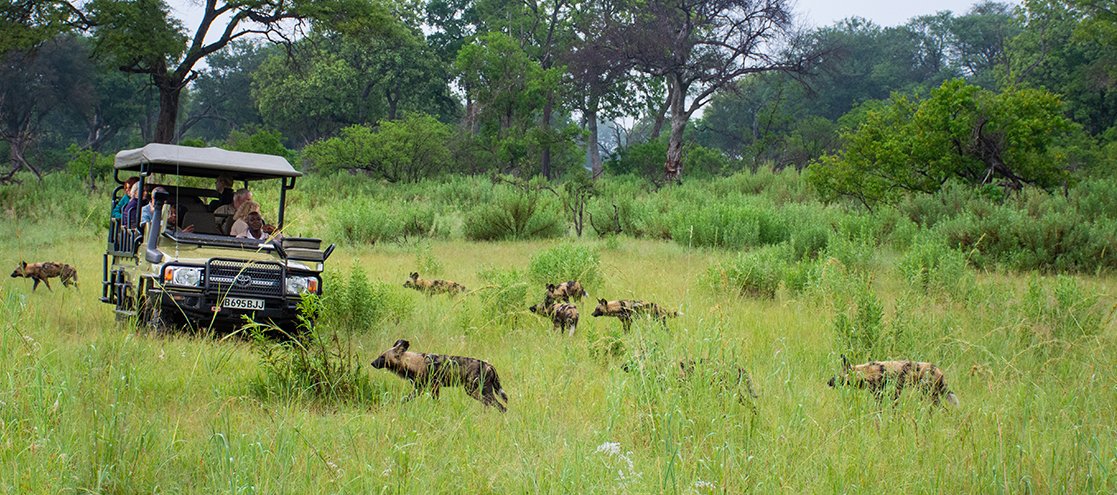 Game Drives