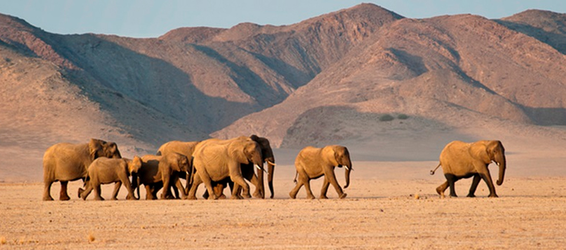 Damaraland