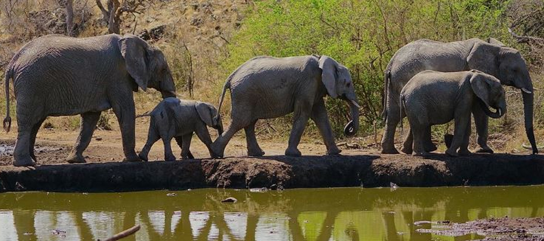 Kafue National Park